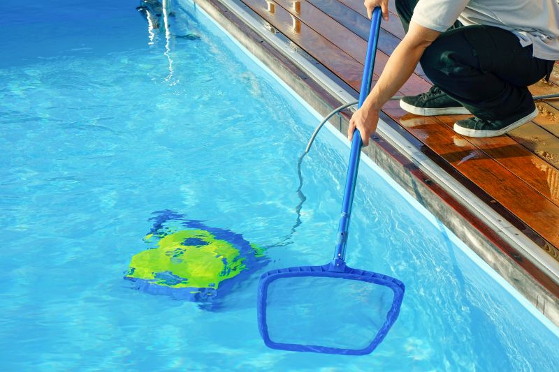 Pool Algae Removal detail